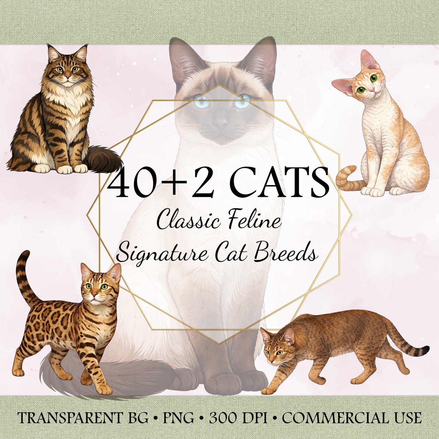 40+2 Classic Feline: Signature Cat Breed Illustrations – 42 High-Res PNG Bundle