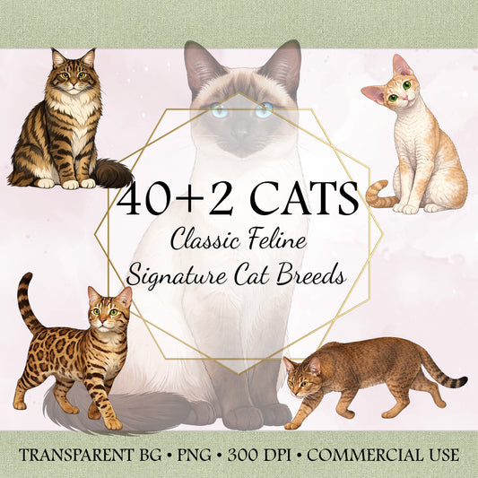 40+2 Classic Feline: Signature Cat Breed Illustrations – 42 High-Res PNG Bundle