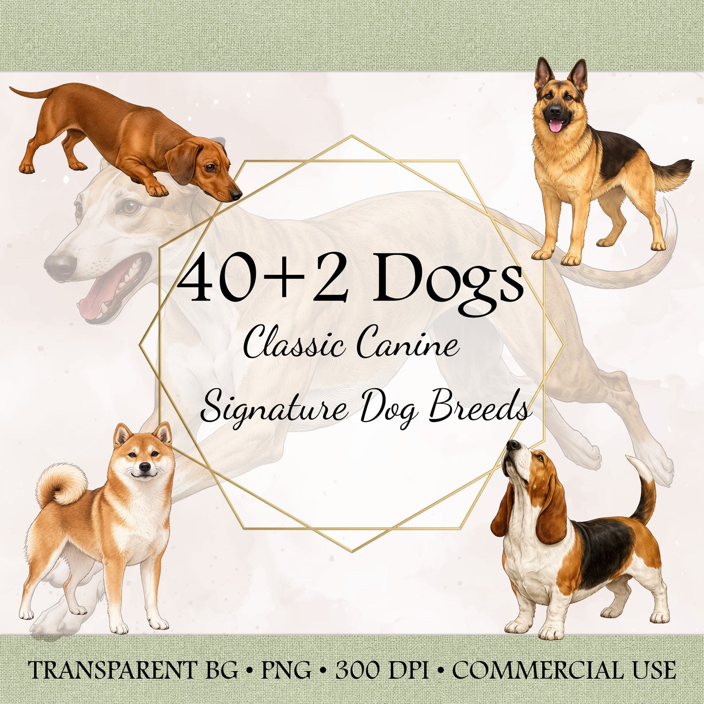 40+2 Classic Canine: Signature Dog Breed Illustrations – High-Res PNG Bundle