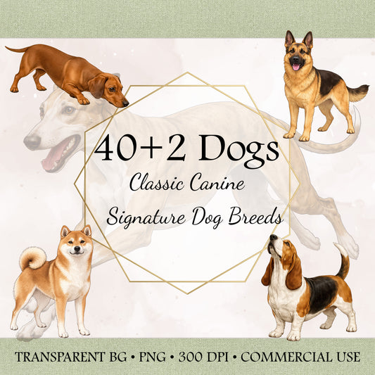 40+2 Classic Canine: Signature Dog Breed Illustrations – High-Res PNG Bundle