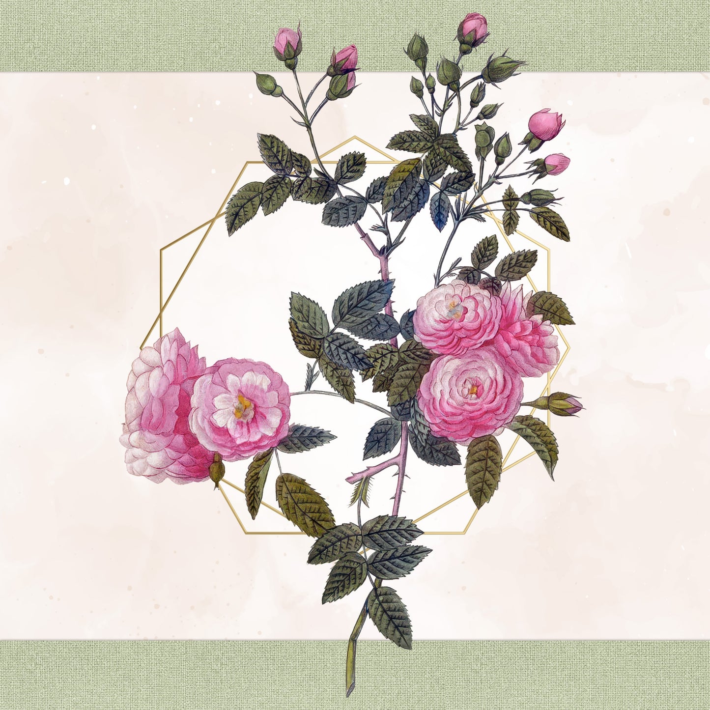 46 Vintage Rose Illustrations PNG | Pierre Joseph Redouté Botanical Clipart | Transparent Background | Commercial Use