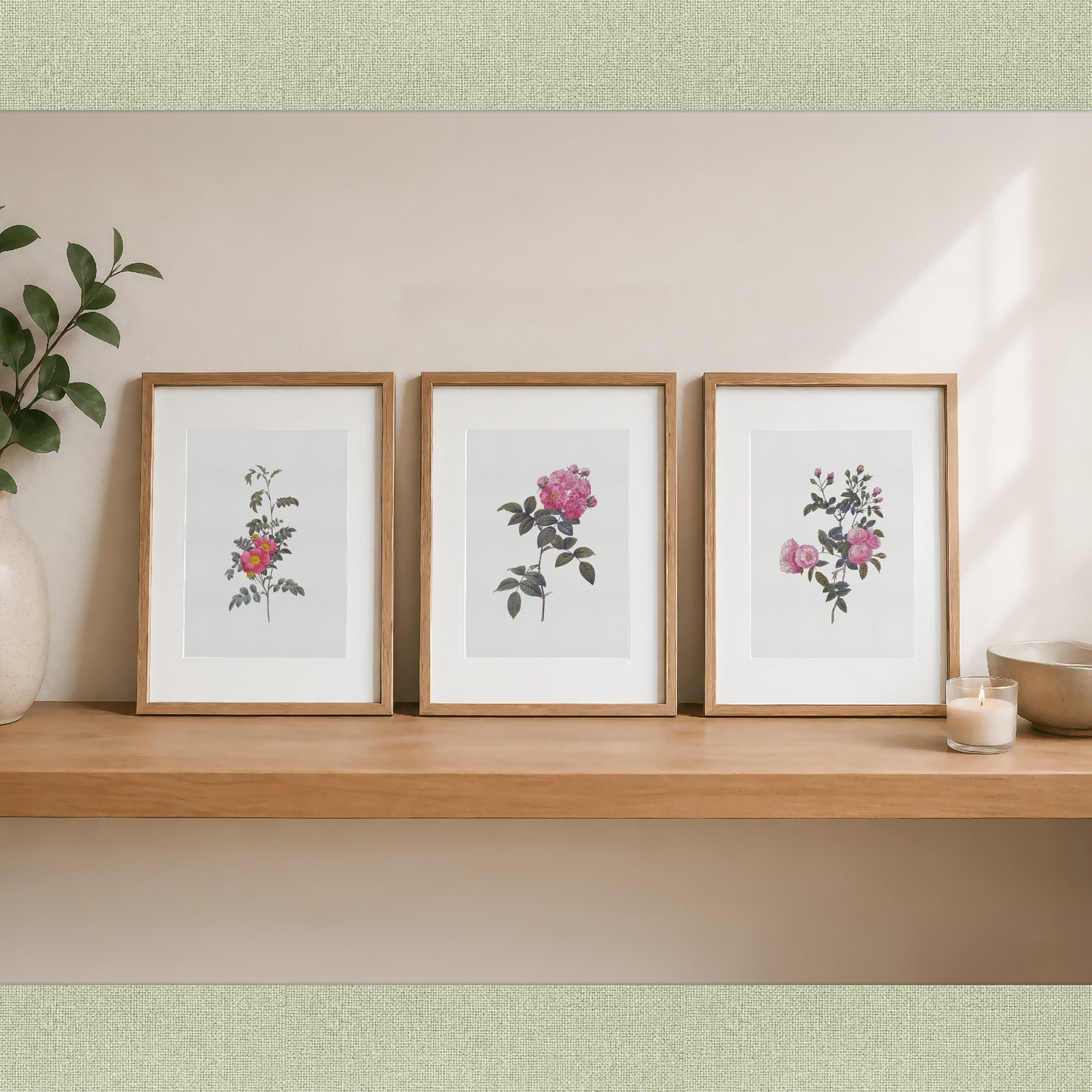 46 Vintage Rose Illustrations PNG | Pierre Joseph Redouté Botanical Clipart | Transparent Background | Commercial Use