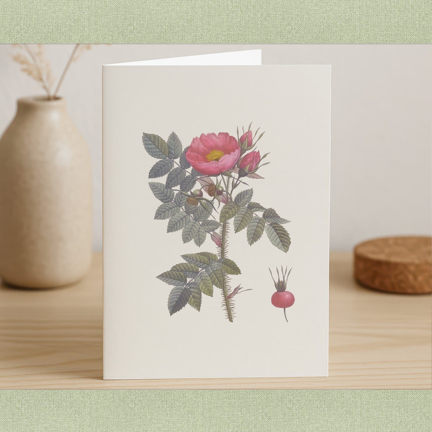 46 Vintage Rose Illustrations PNG | Pierre Joseph Redouté Botanical Clipart | Transparent Background | Commercial Use
