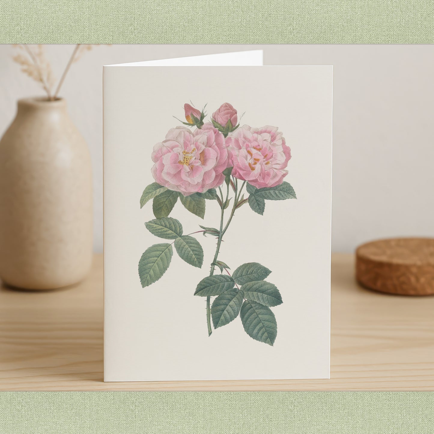Vintage Rose PNG Bundle – 68 Botanical Illustrations by Redouté – Transparent Background Floral Clipart – Commercial Use