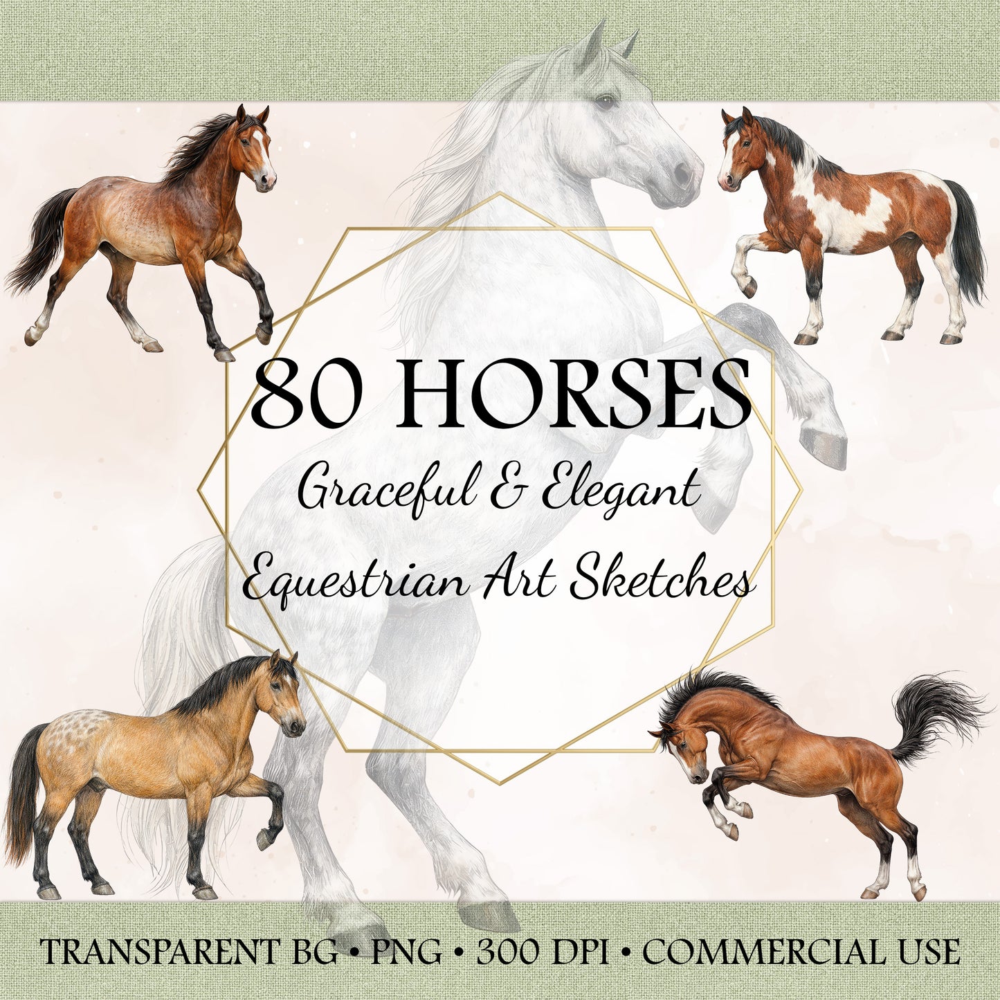 80 Horse Clipart Bundle • Equestrian Art Sketches • Commercial Use PNG