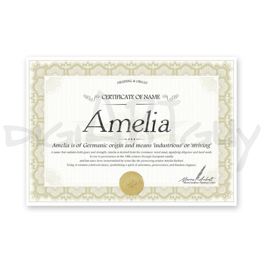 Amelia Name Meaning Certificate | Personalized Name Origin Printable | Custom Baby Name Gift | Digital Download