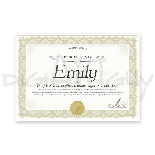 Emily Name Meaning Certificate | Printable Name Origin Wall Art | Baby Name Gift | Digital Download